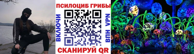 Галлюциногенные грибы Psilocybine cubensis Дегтярск